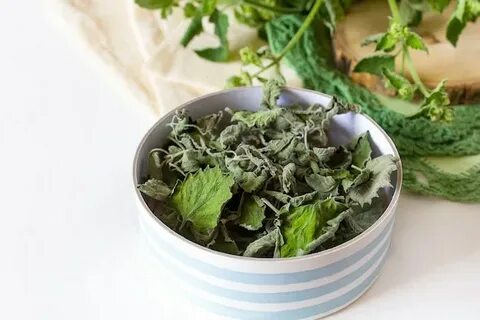 تصویر 2 از قیمت برگ نعنا خشک + فروش عمده